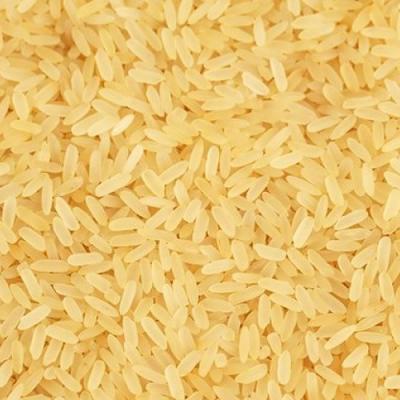 Surekha Rice