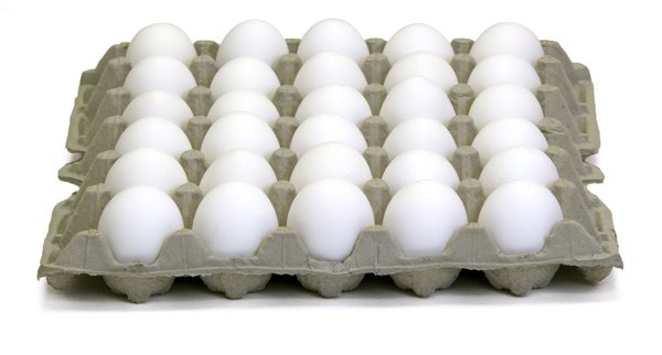 Chicken Egg Tray